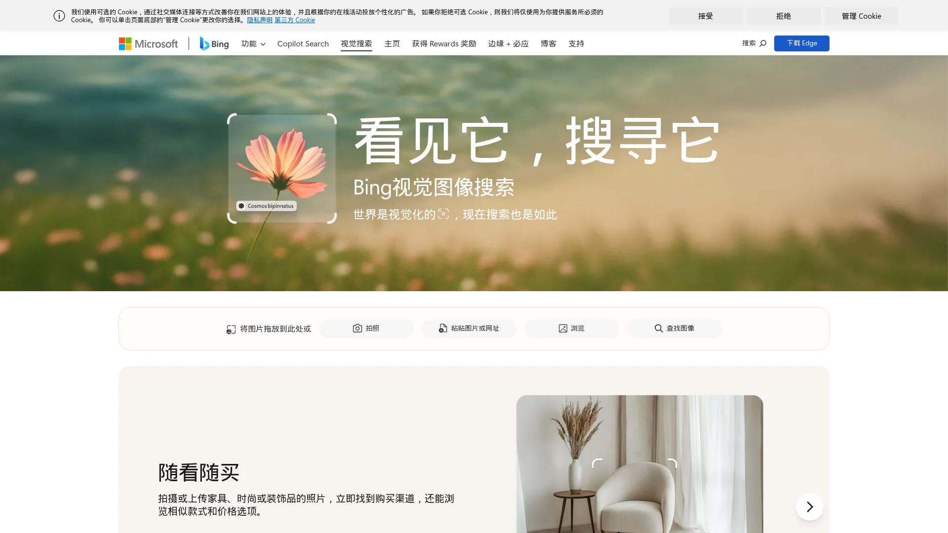 免费视觉搜索工具 | Bing视觉搜索 screenshot