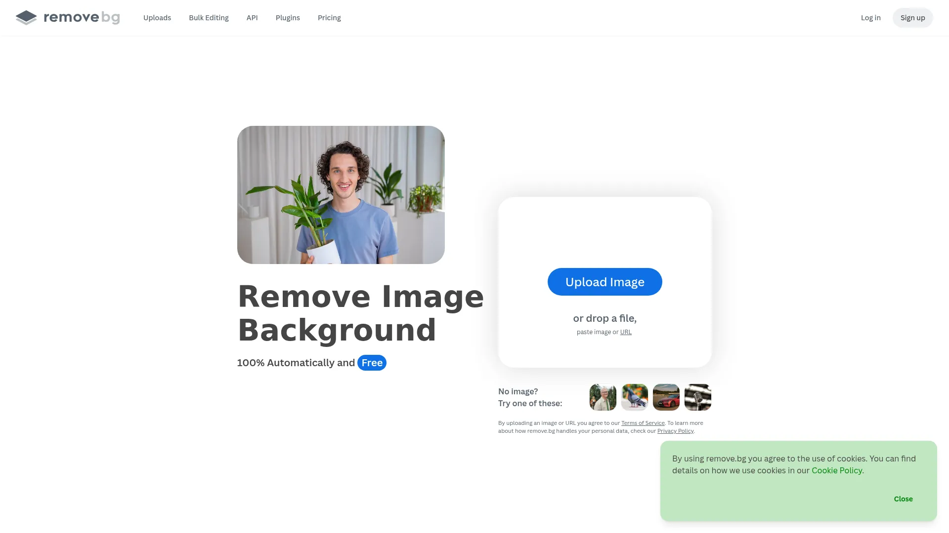 Remove Background from Image for Free – remove.bg screenshot