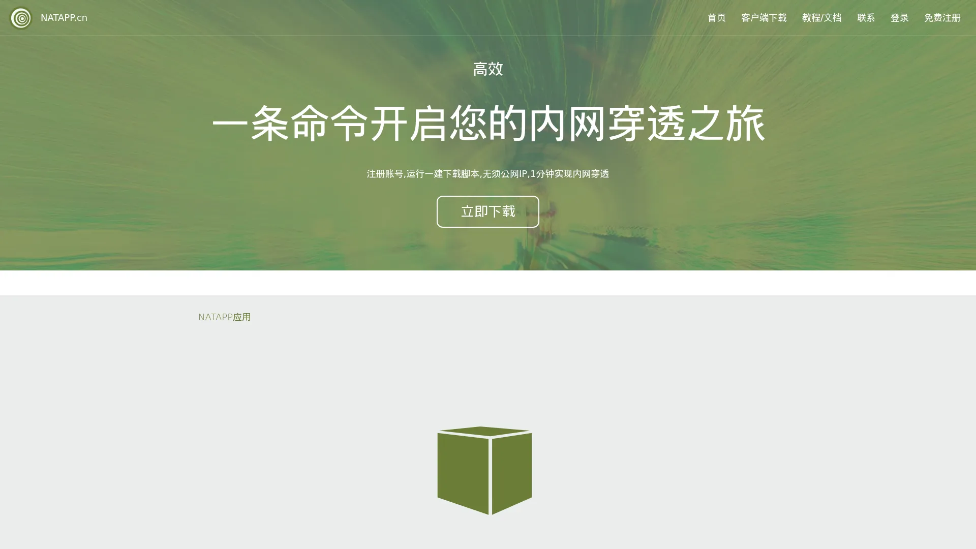 NATAPP-内网穿透 基于ngrok的免费企业级国内高速内网映射工具 screenshot