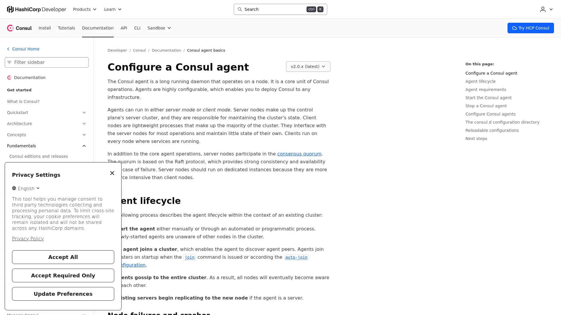 Configure a Consul agent | Consul | HashiCorp Developer screenshot