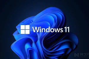 Windows 11