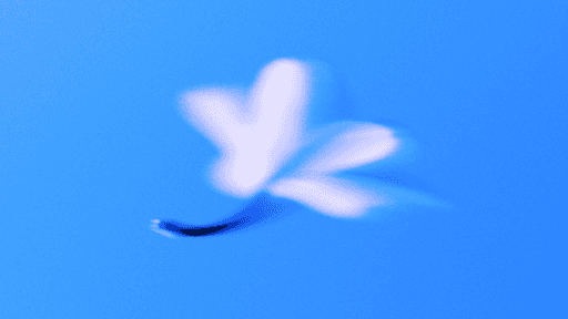 Framer 界面展示