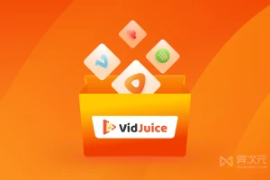 VidJuice 音视频下载