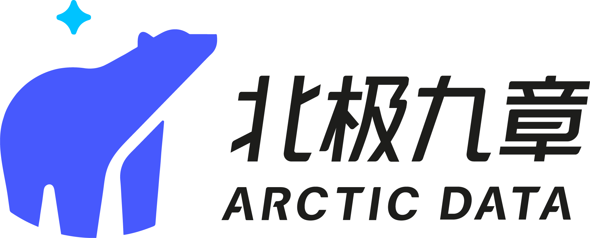 北极九章logo