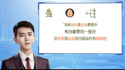 了解组织结构的三种类型